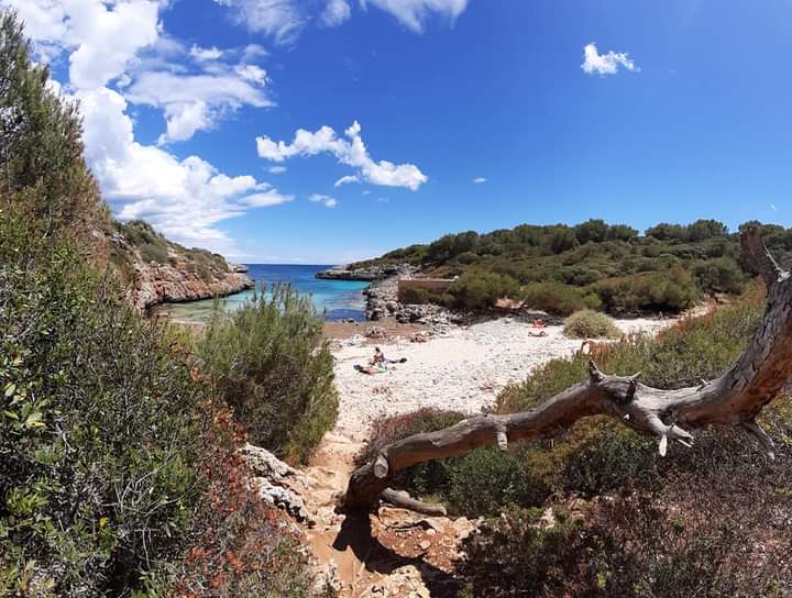 445609466_3639794316333394_5808144963911758941_n