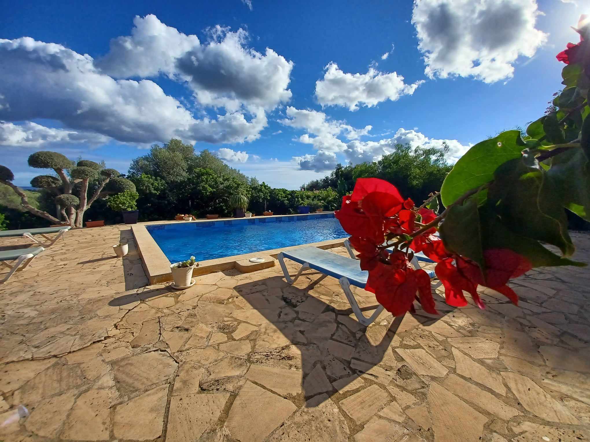 462562189_882928580720158_1232317470585097524_n