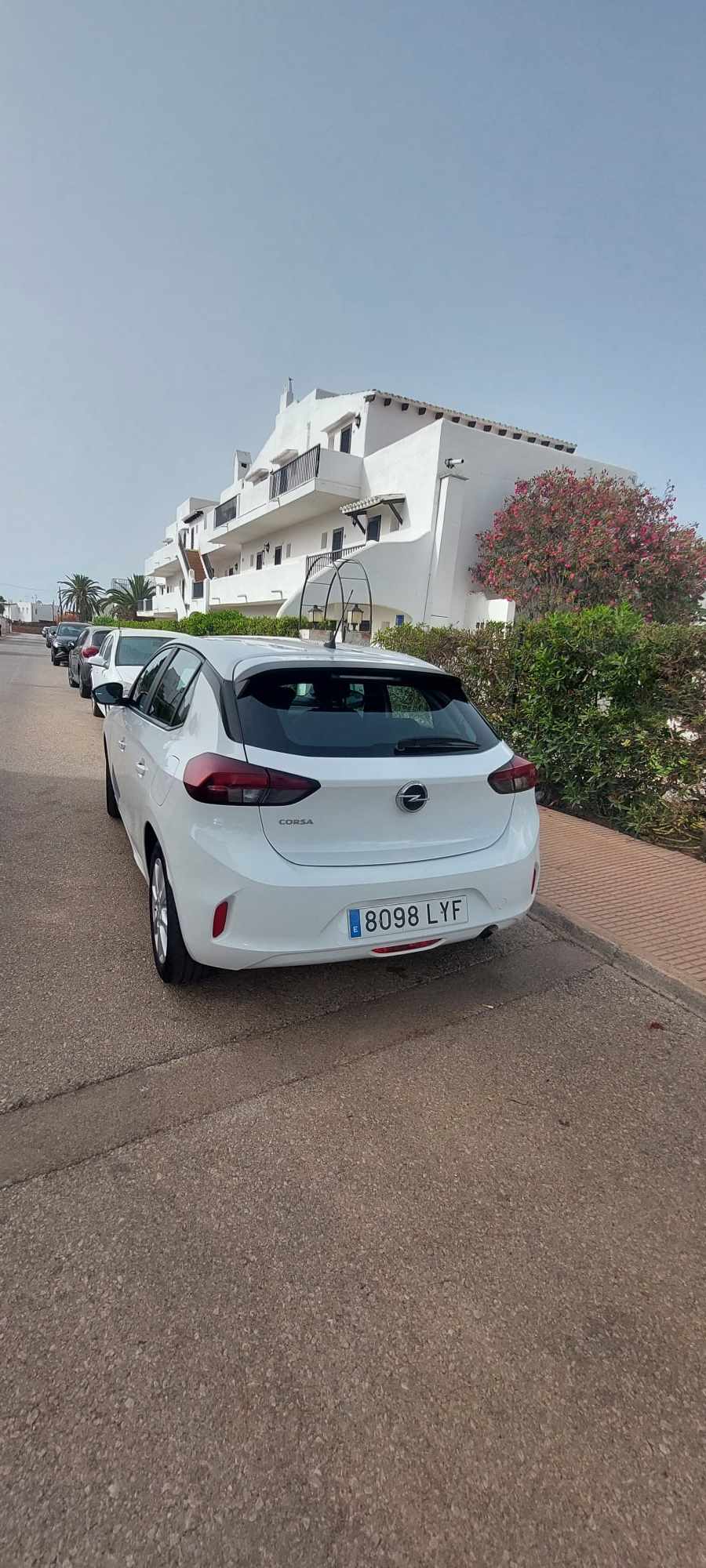 462569499_1122546649467518_3070960360969570397_n