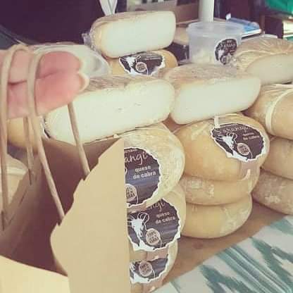 462579779_1227839118319234_1207203830277841608_n