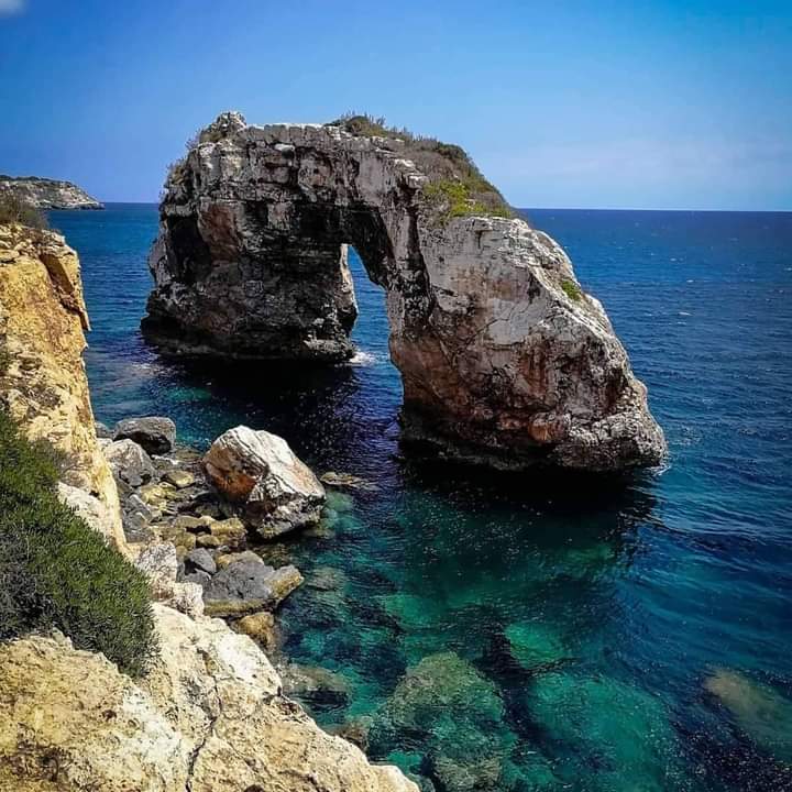 465990072_1533026317398730_311804201250484869_n