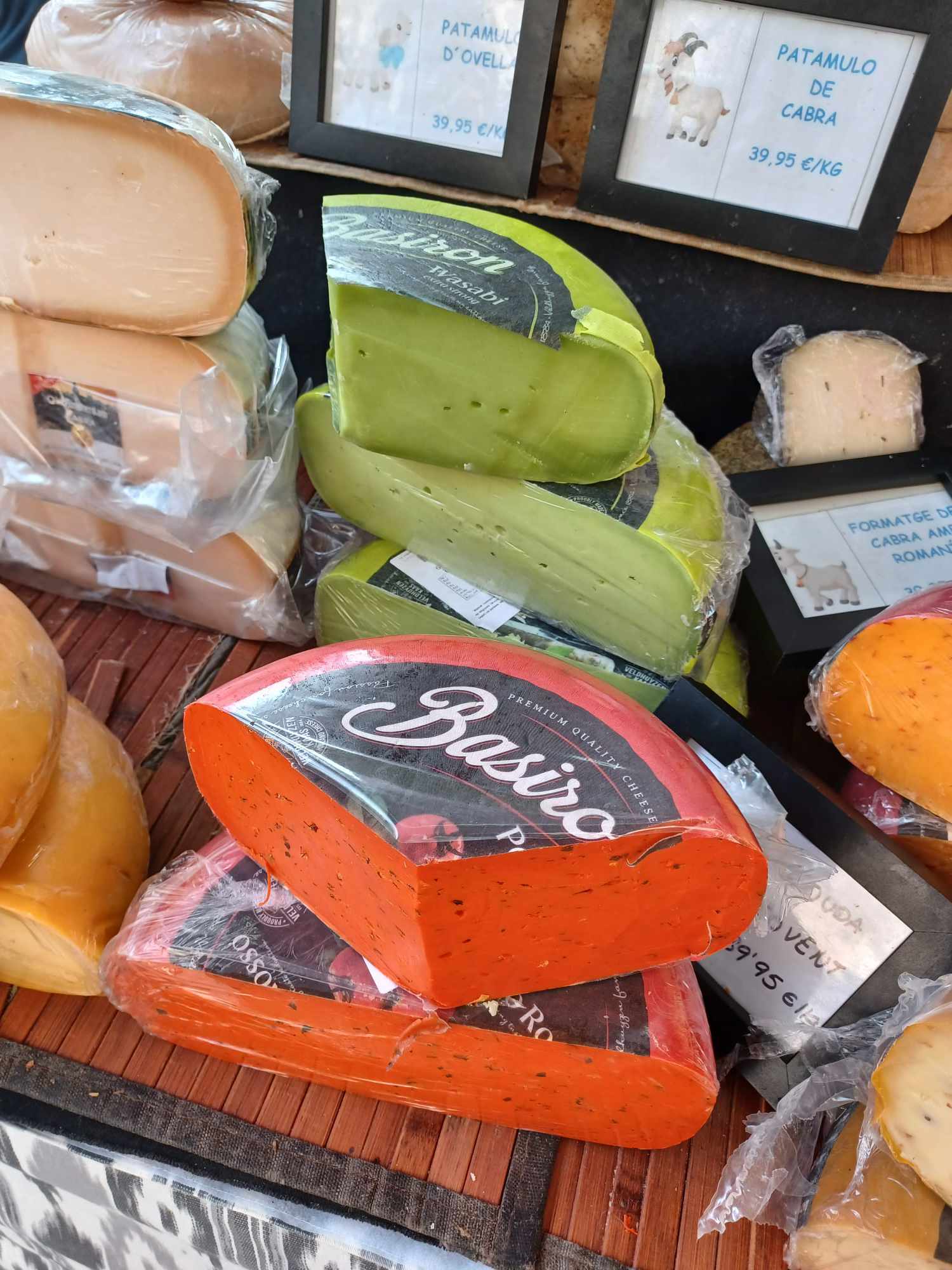 466957481_597156112832889_6734734175089787052_n