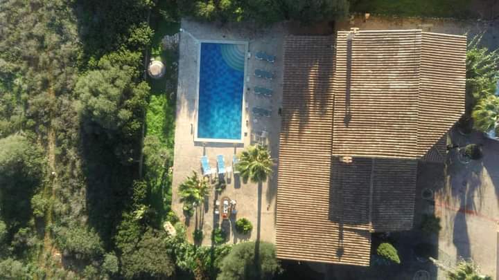 467588259_428373806875083_7993618799362311783_n